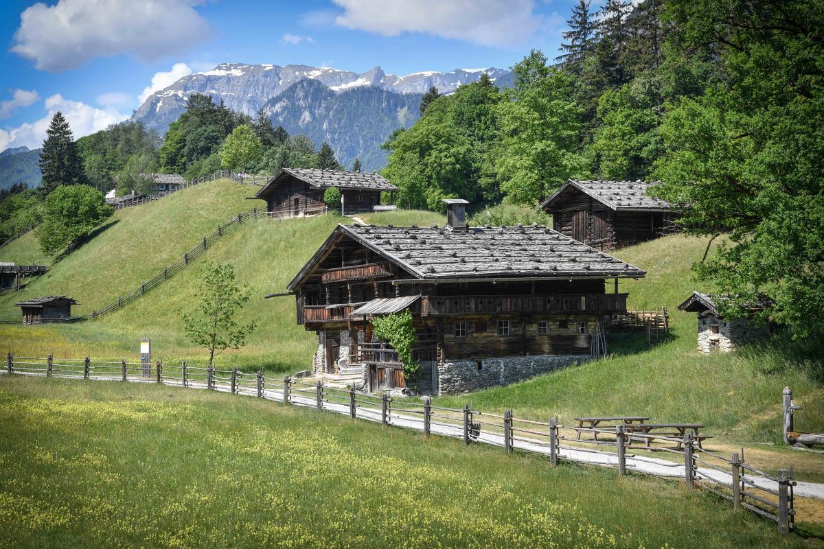 web Gelände_Blick_Rofangebirge_Wildschönauerhof_Foto_Grießenböck