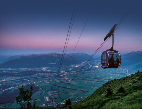 RopeTwin: Modular System for Areal Tramways